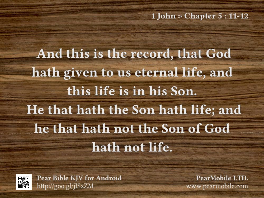 1 John, Chapter 5:11-12
